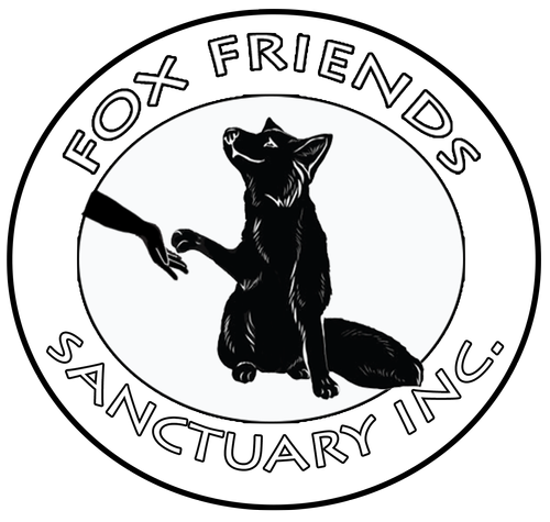File:Fox-friends-sanctuary.webp