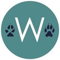 Walking-wild-rescue.jpg